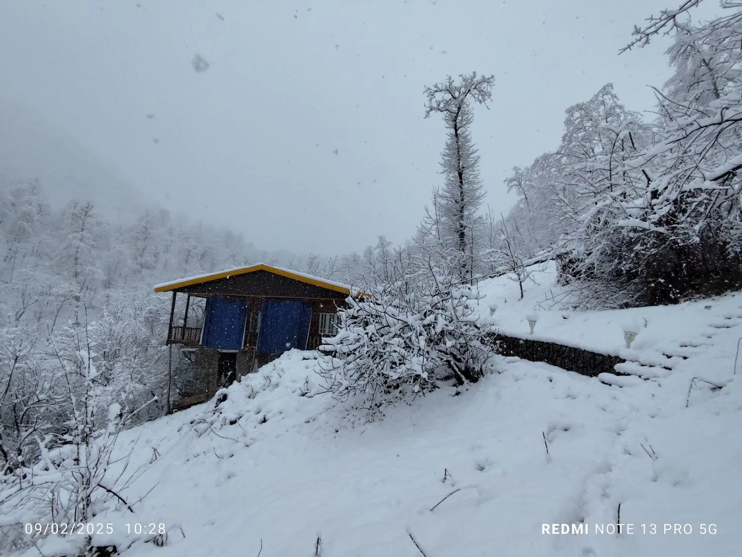 اجاره سالانه کلبه جنگلی در لفور روستای شاهکلا