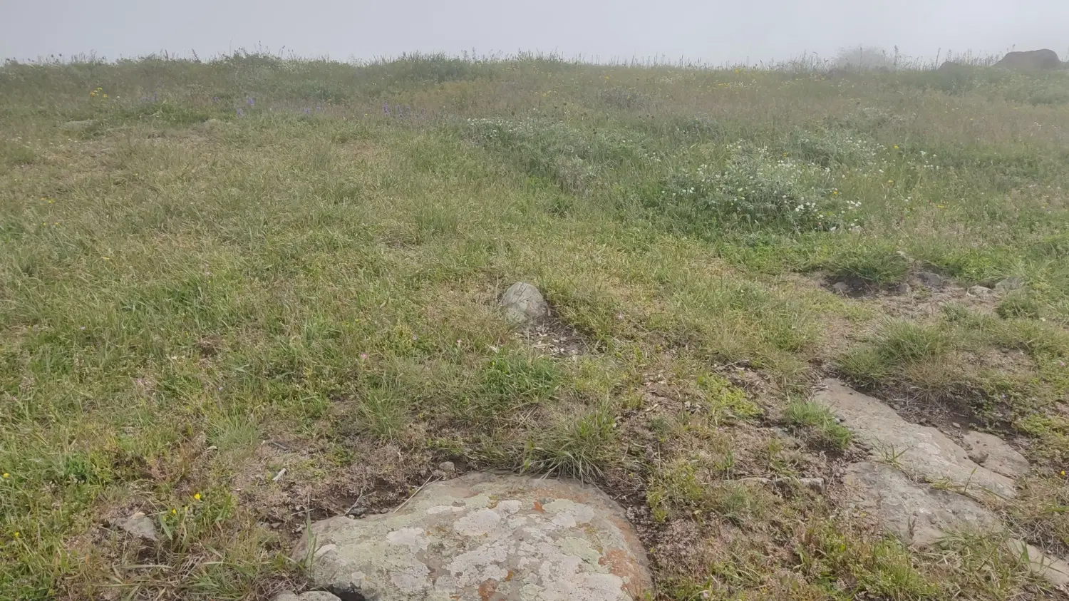 زمین براتوبان کسایی