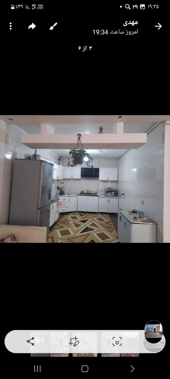 پاپی خالدار زاگرس ۴