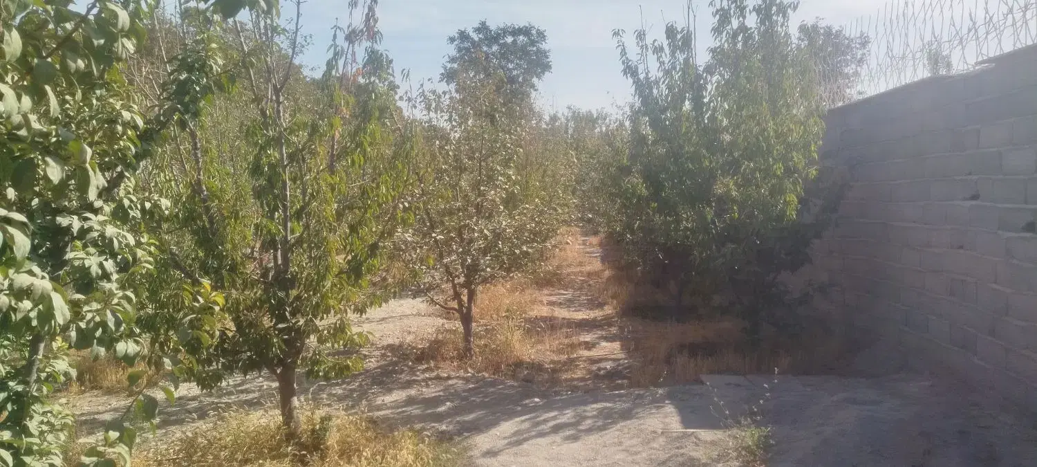 باغ باغچه ویلا