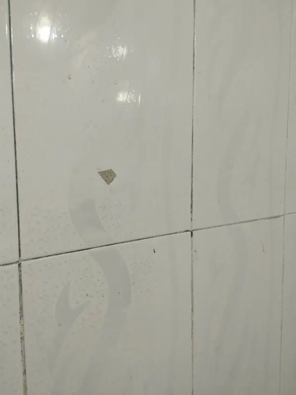 مغازه 30متری