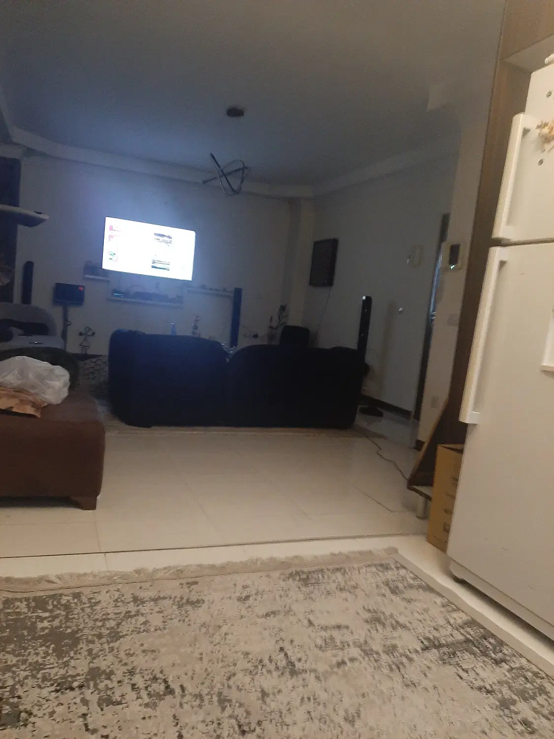 همخانه(همخونه)خانم