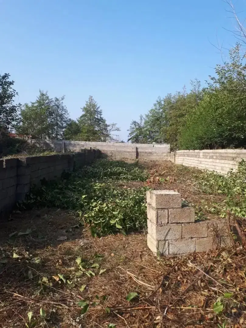 فروش زمین ساحلی