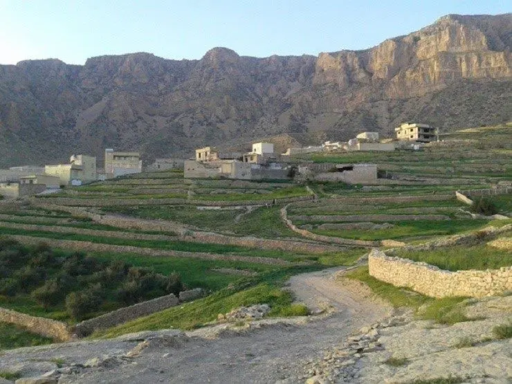 فروش باغ انگور