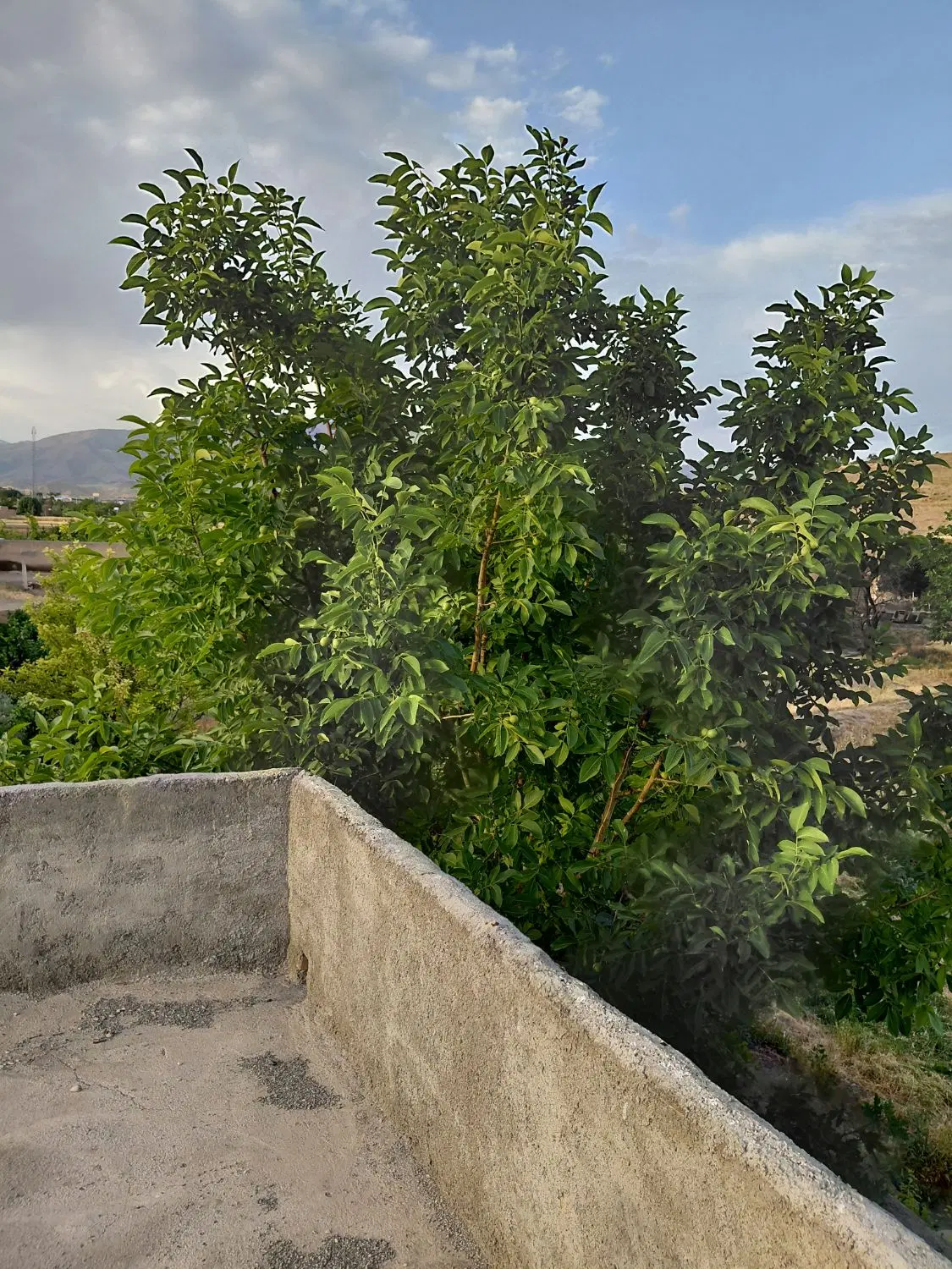 باغ ویلا (قدمگاه مکان ملک میباشد)