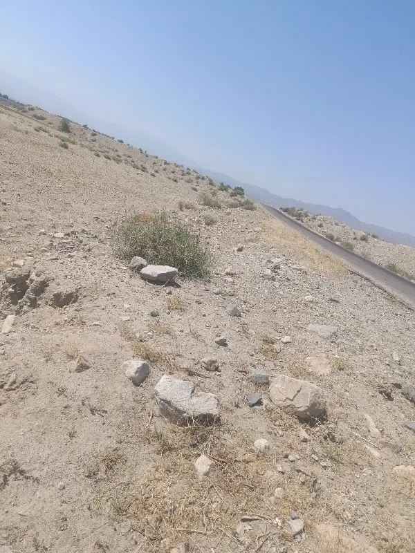 زمین