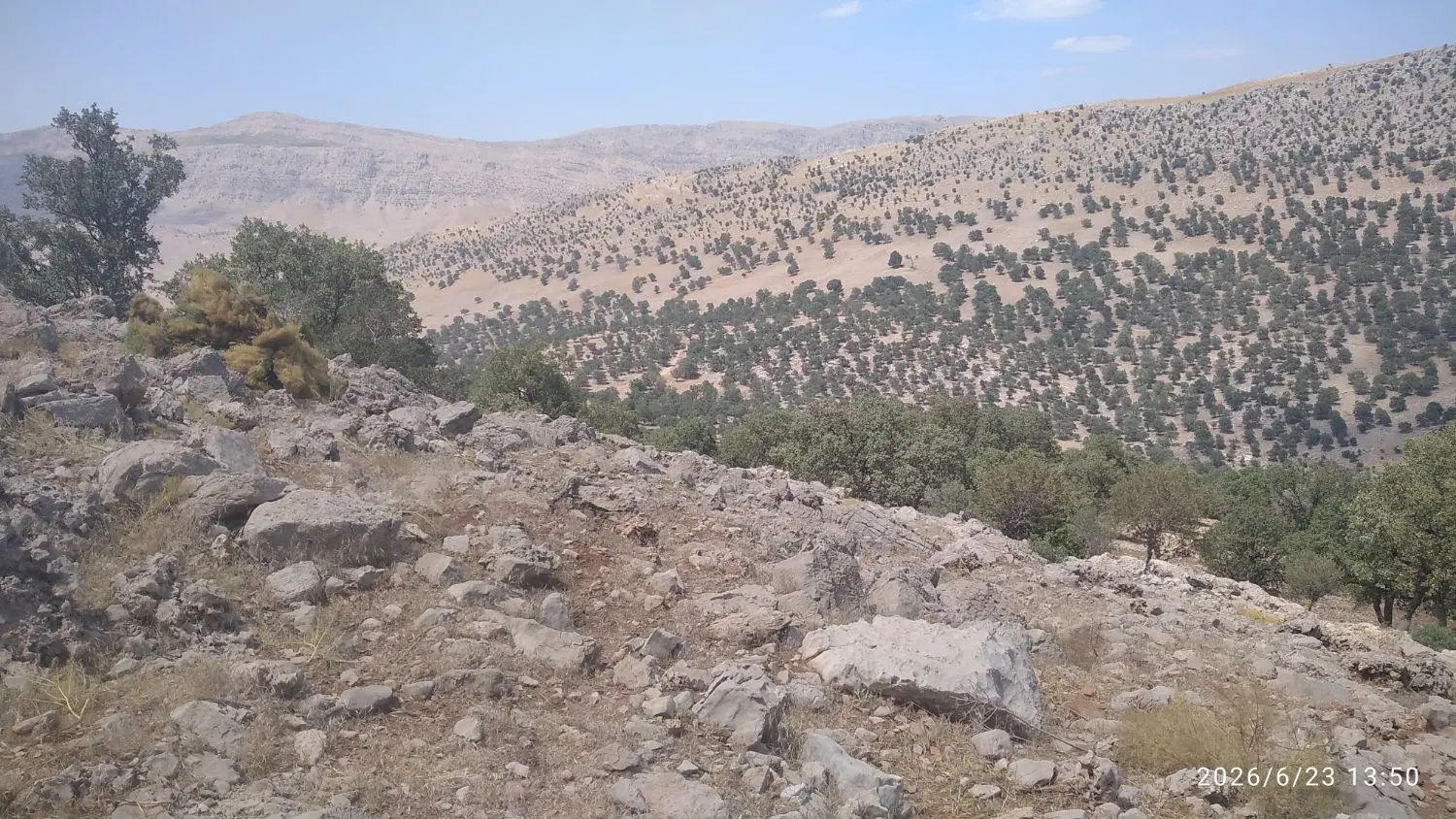 زمین