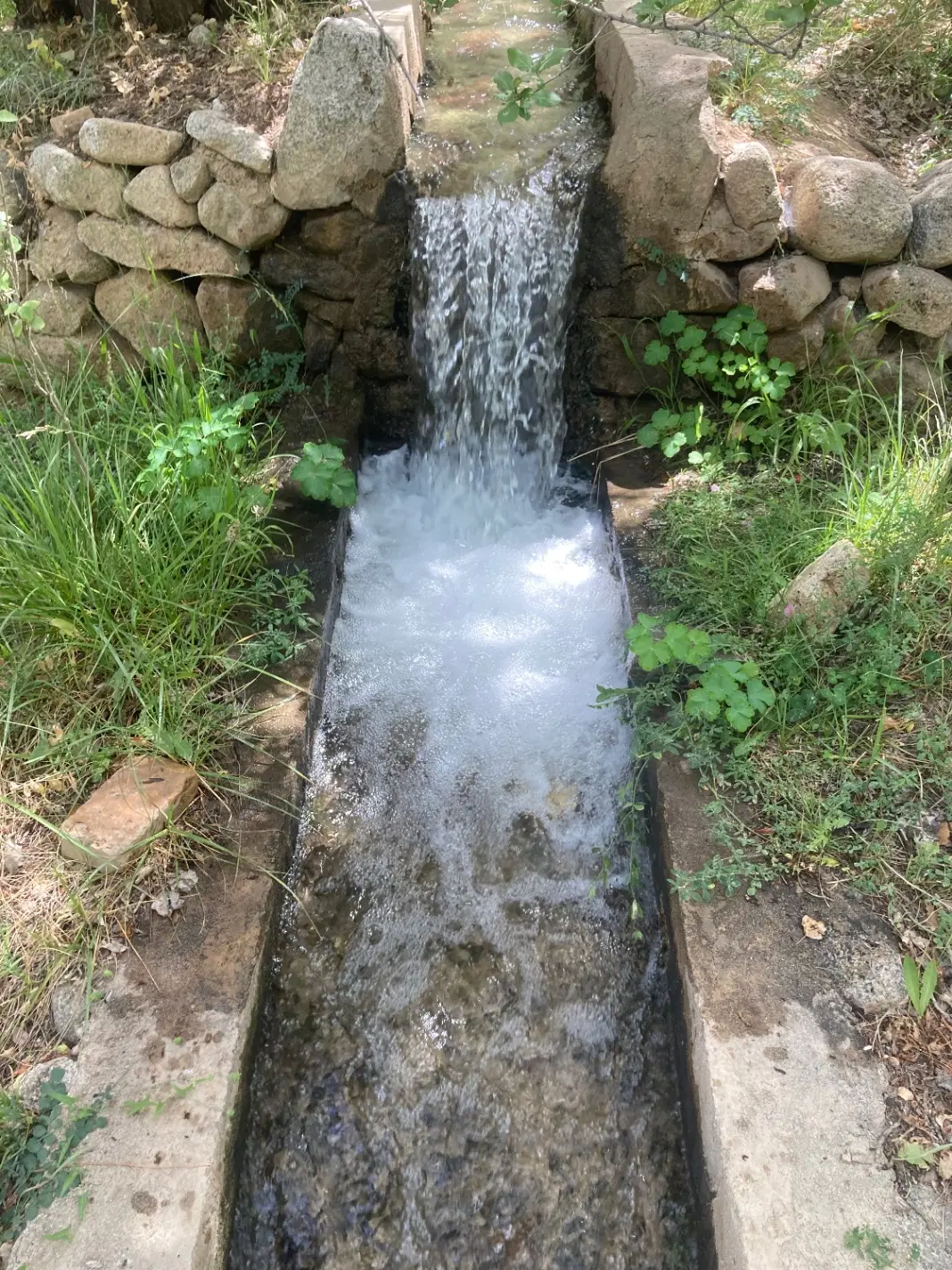 باغ ده بالا ۱۰۴۰متر سند تک برگ