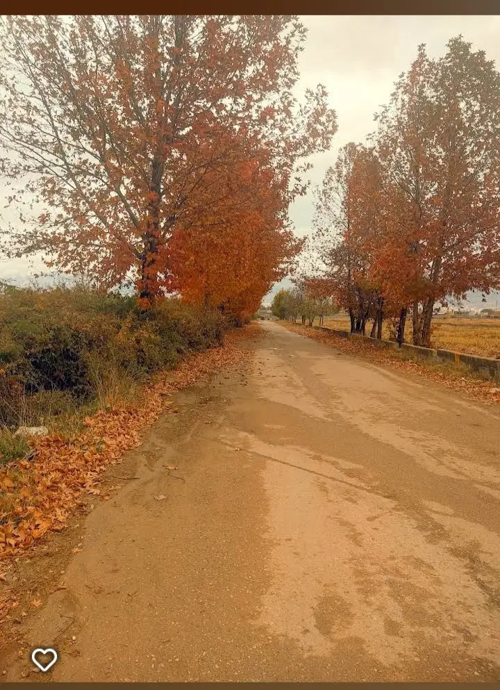 واگذاری فرمانداری روبه روی پمپ بنزین منصوری