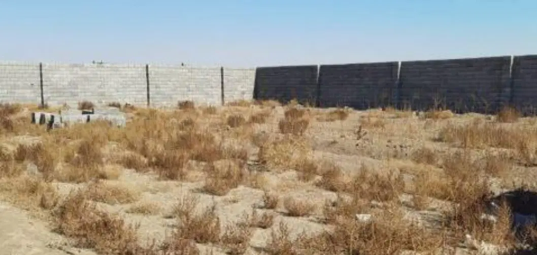 ۵۰۰متری یوسف رضا