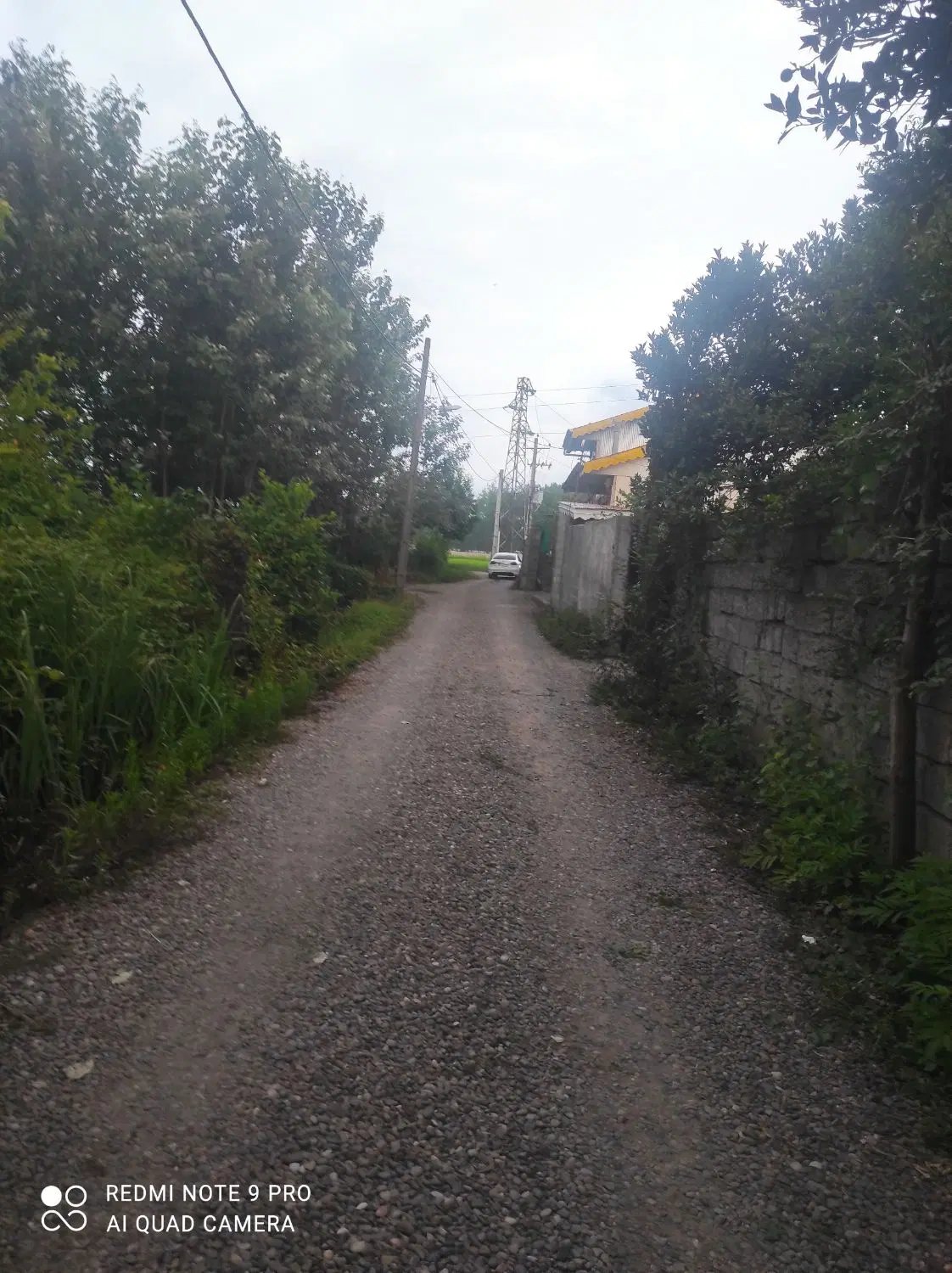 زمین شالیزار