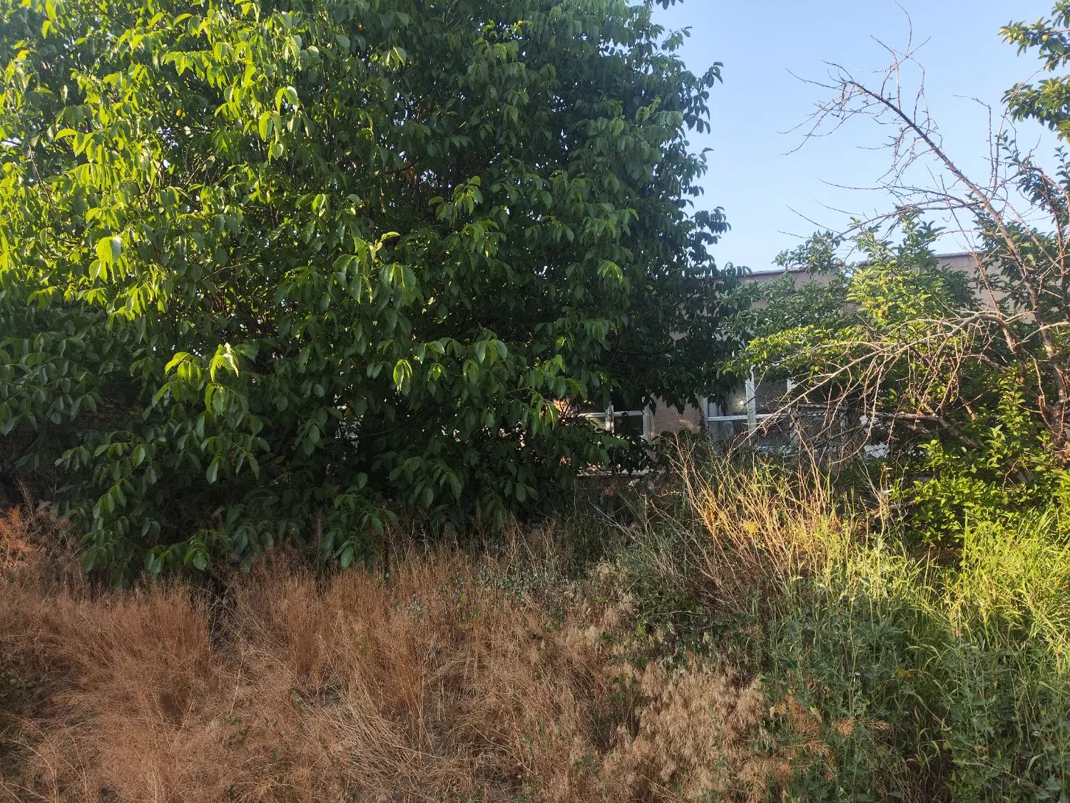 فروش خانه کلنگی