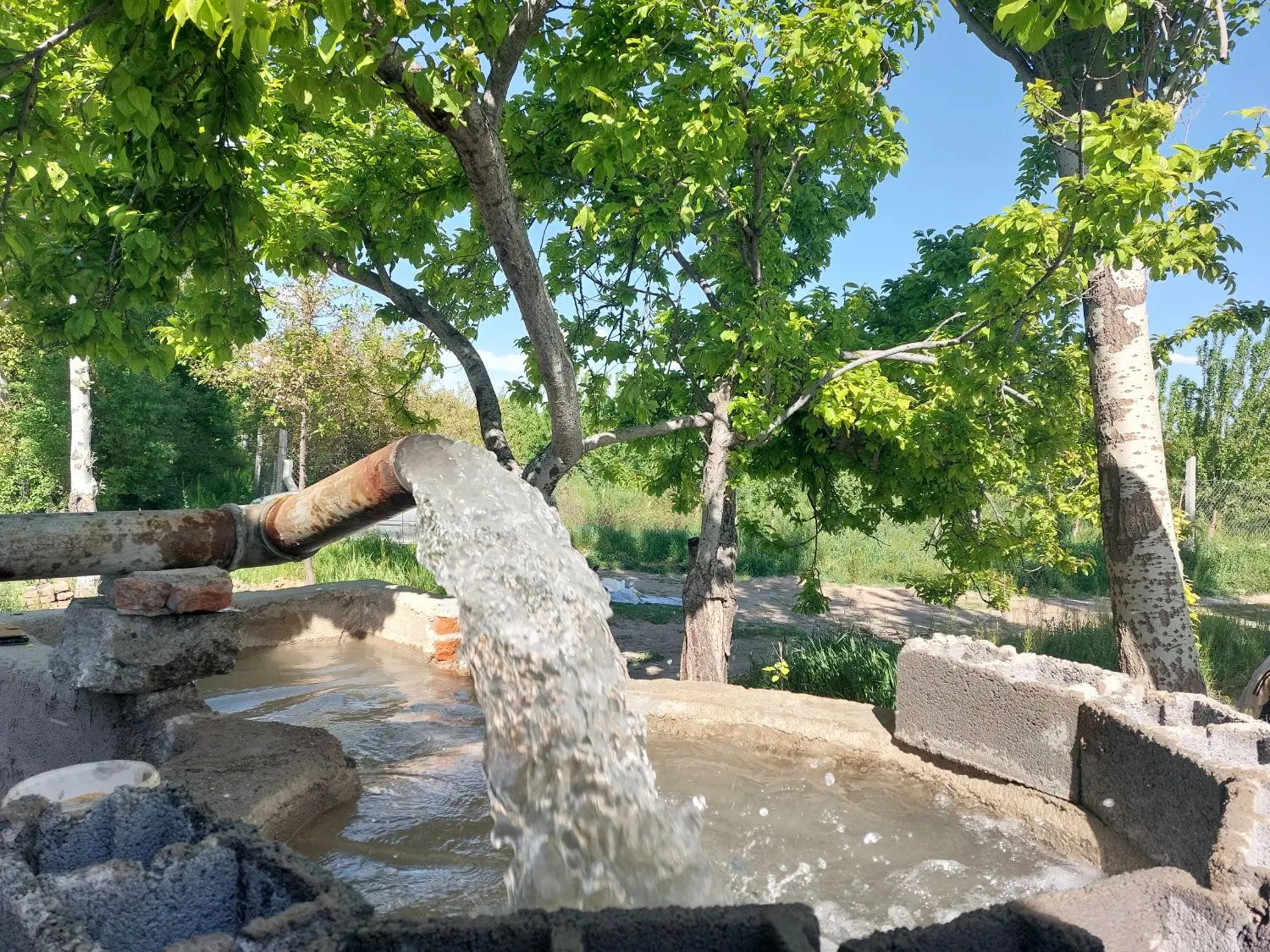 فروش باغ با چاه آب شهرستان عجب‌شیر