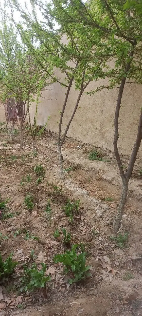 باغ درچه محله دهنان