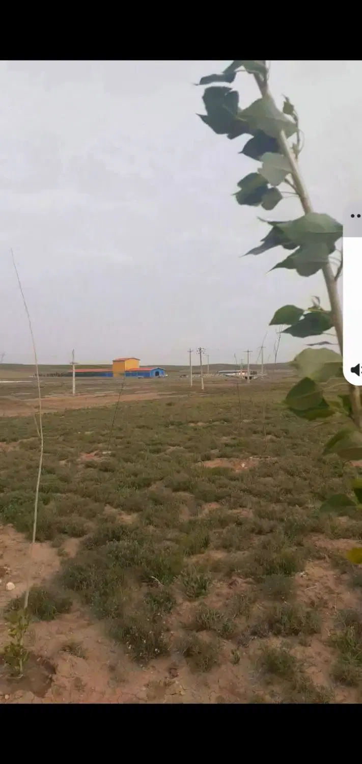 زمین دربیلوردی