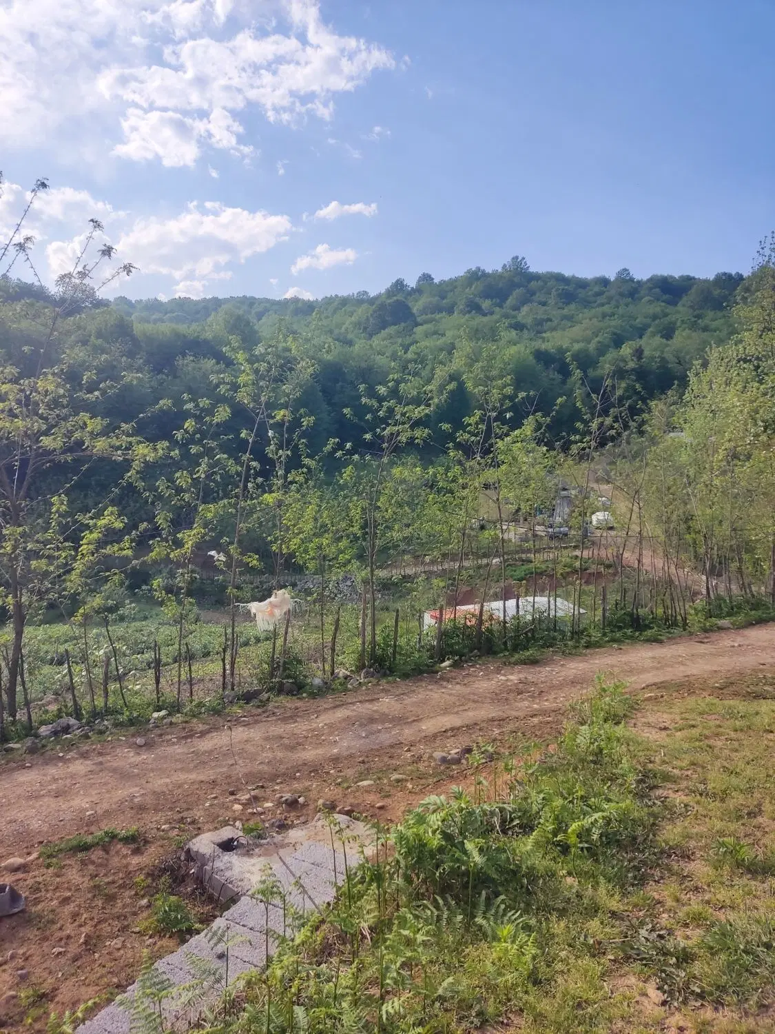 ۲۰۰مسکونی شهر بیجار