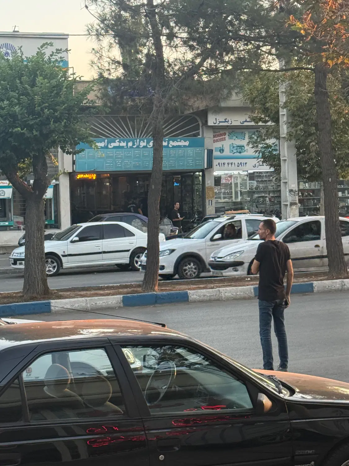 مغازه شیخ شلتوت