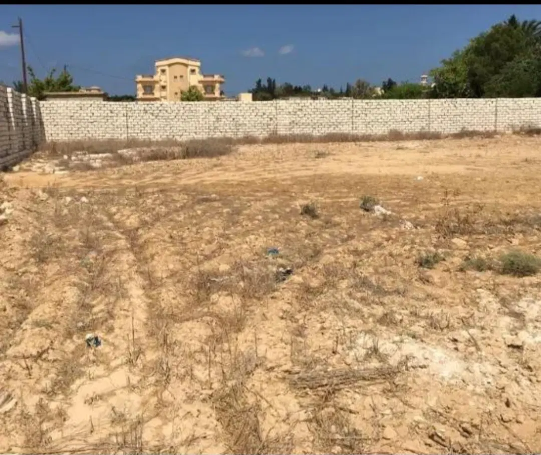 فروش یا معاوضه زمین در کاشان