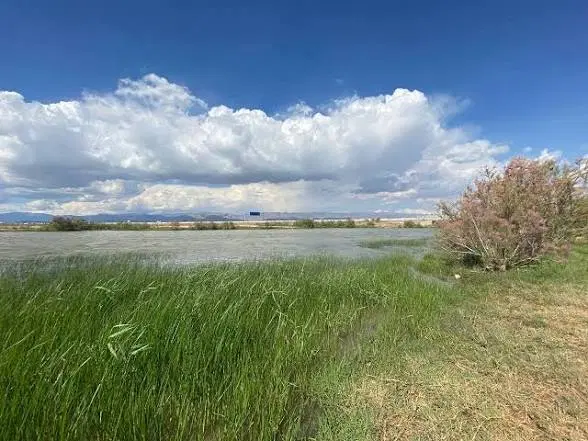 فروش زمین (خراسانی )