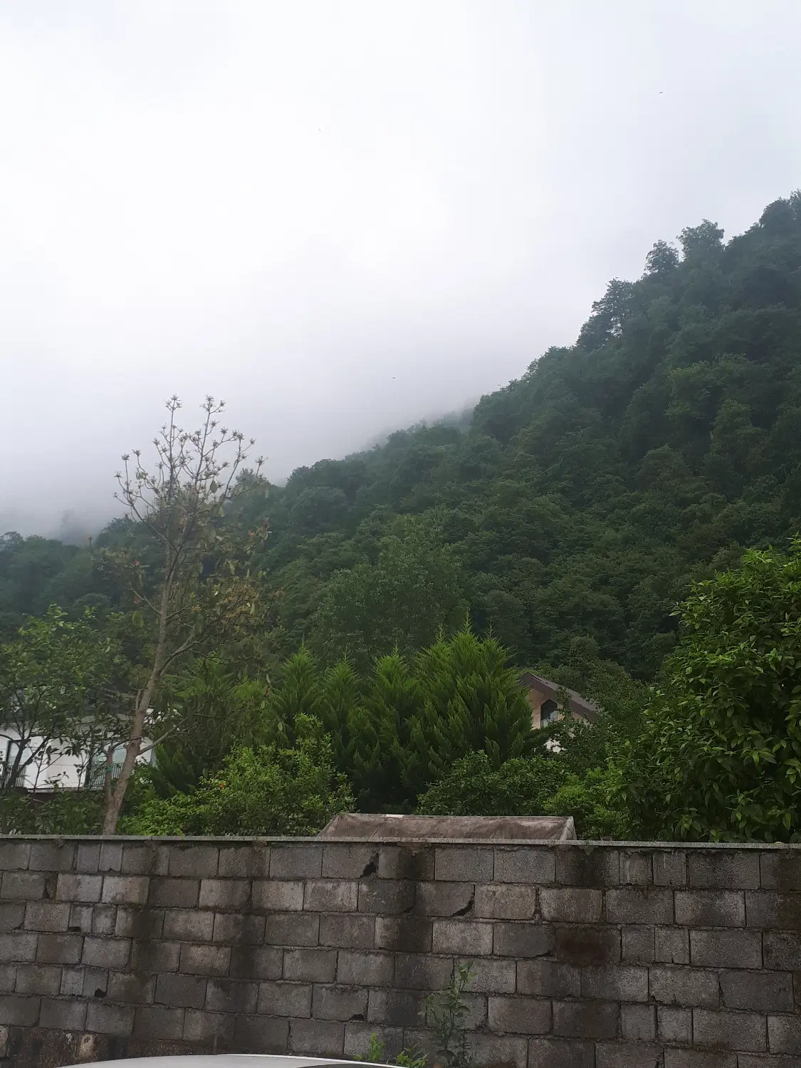 فروش زمین -یالبندان