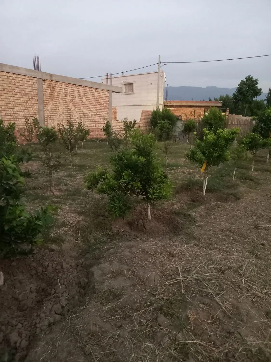 زمین مسکونی ازدارتپه آزادشهر