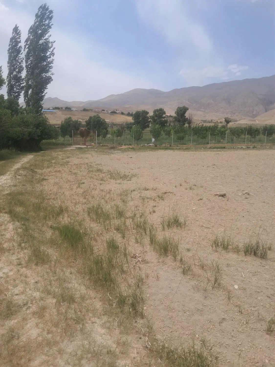 زمین زراعی ۳۲۰۰ متر با سند تکبرگ