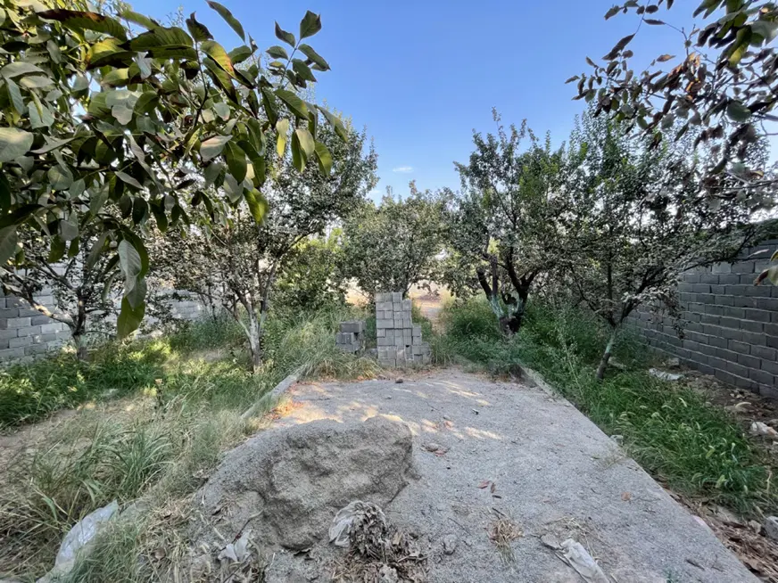 باغ ۴دیوار سند تک برگ شهریار