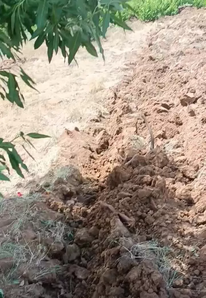 زمین کشاورزی