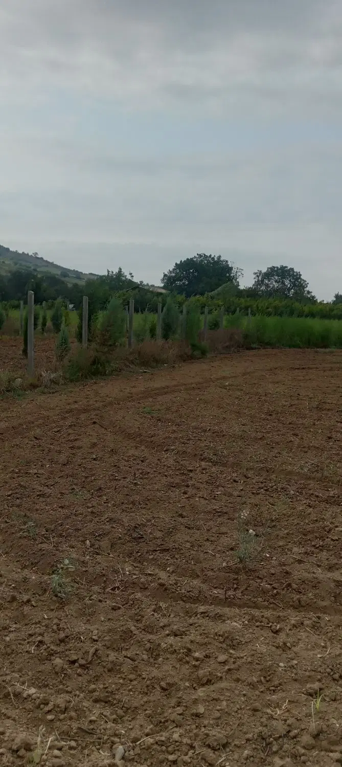 فروش ۱۰۰۰ متر زمین کشاورزی نومل گرگان ،کنار آسفالت