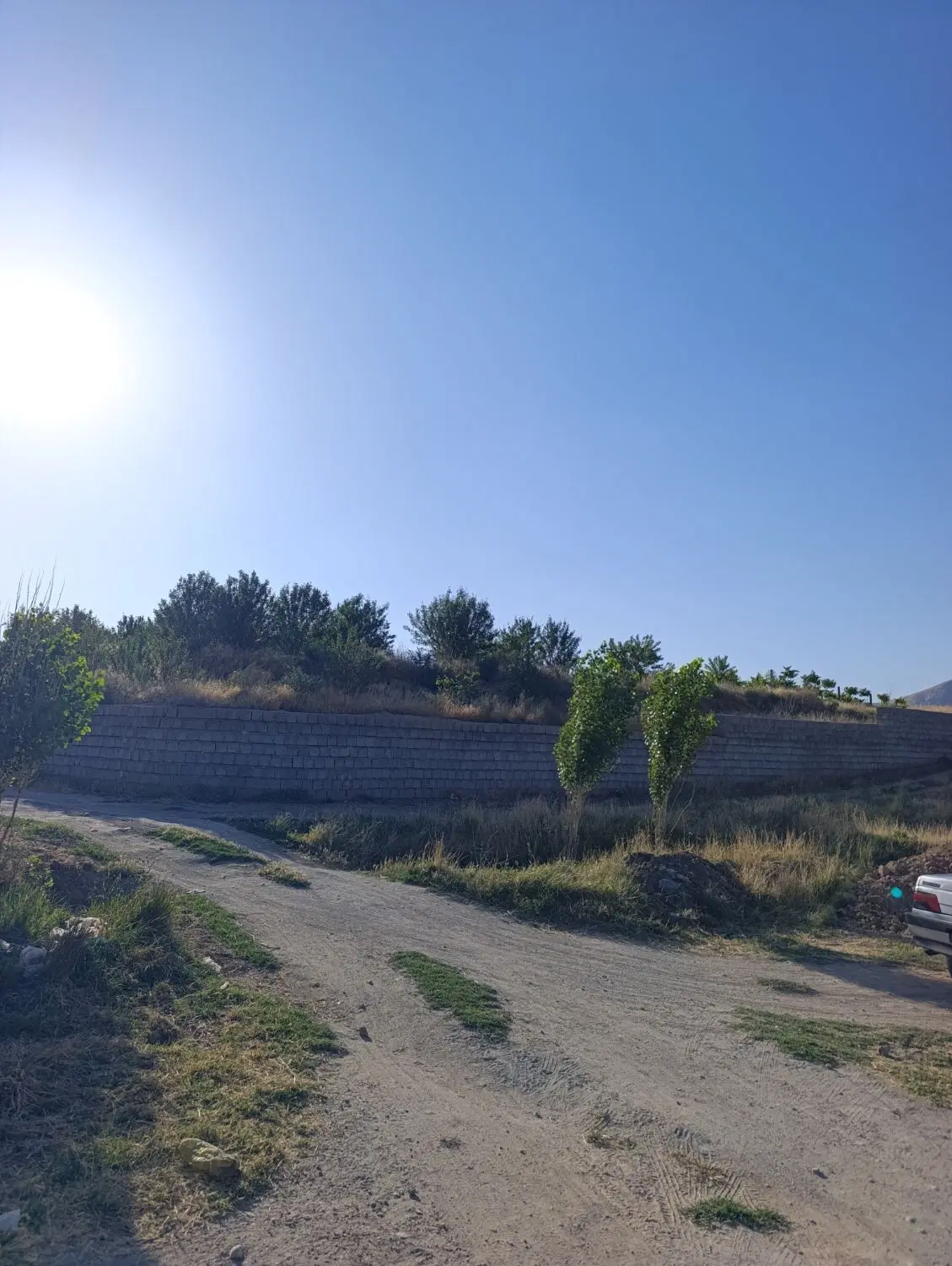 فروش یک قطعه باغچه بادام در  چی‌چست