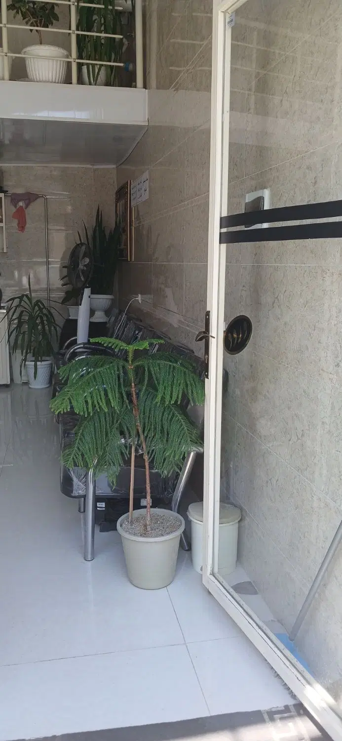 مغازه واقع در بادکی بر خیابان شهیدعبدی