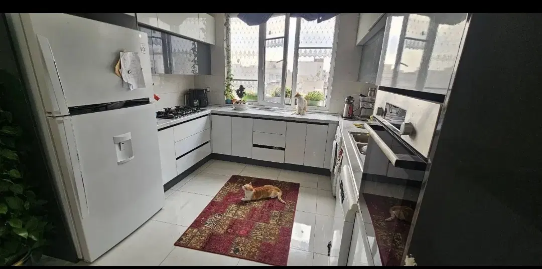 80متر سالن پرده خور آکواریوم