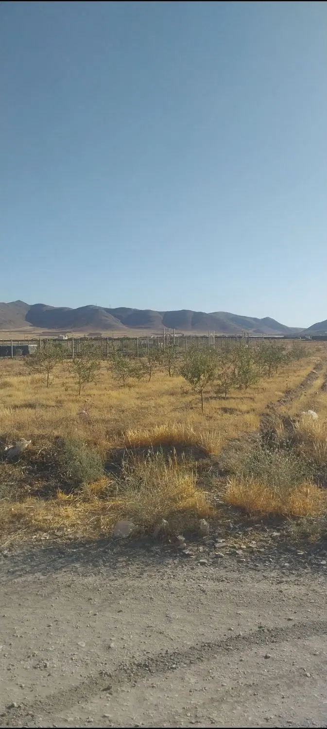 زمین باغی مرزیجران