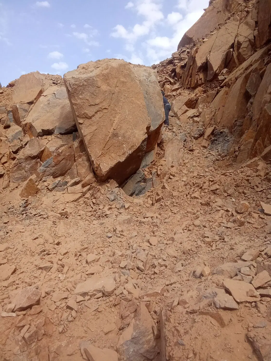 زمین