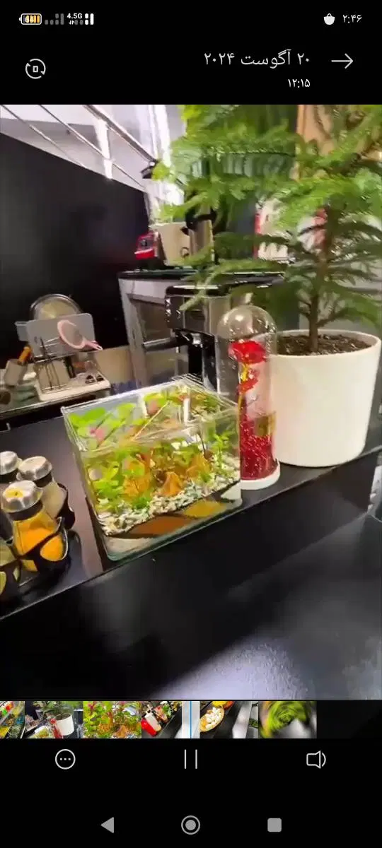 بوفه باشگاه