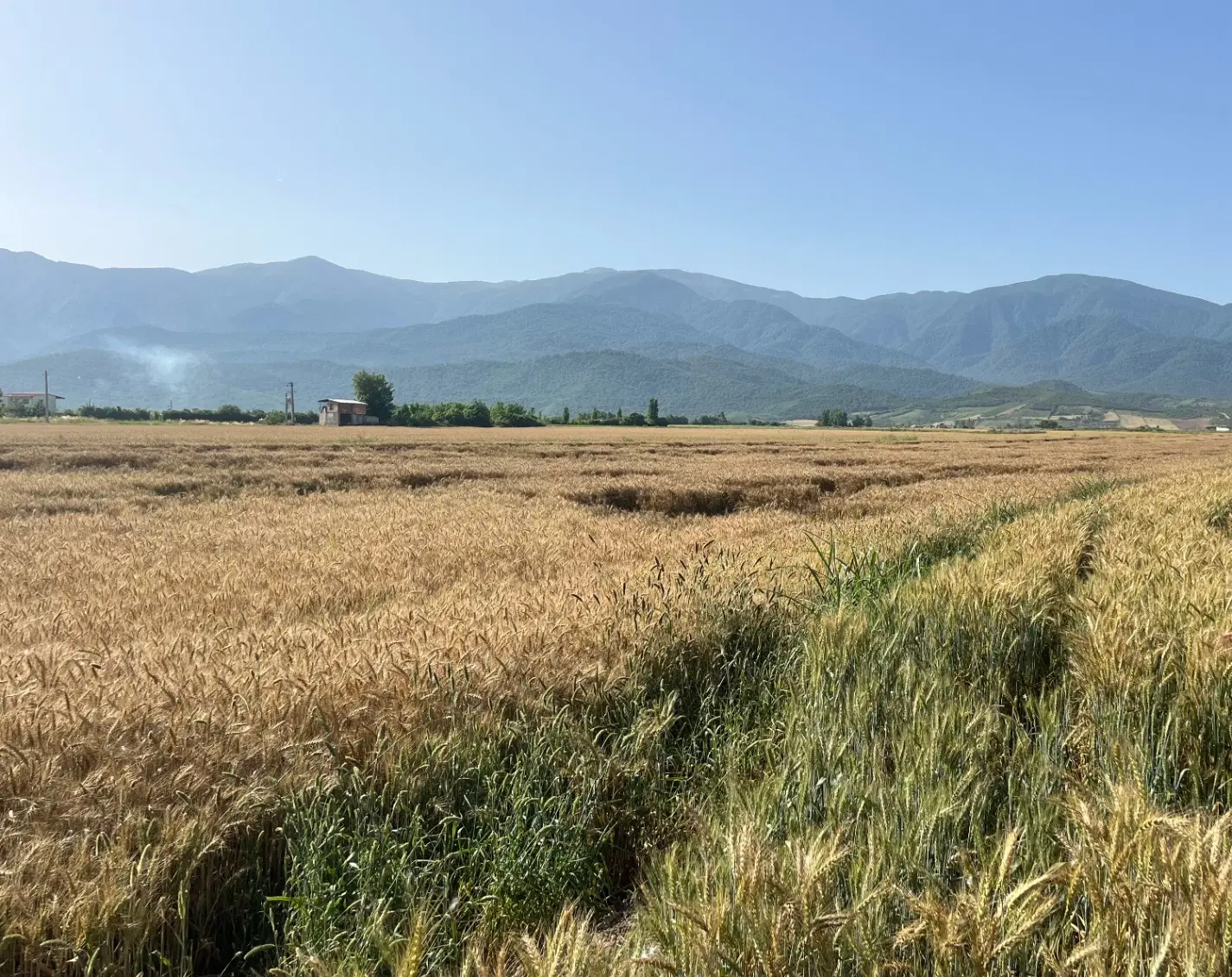 فروش زمین بر اتوبان اصلی گرگان و تقی آباد