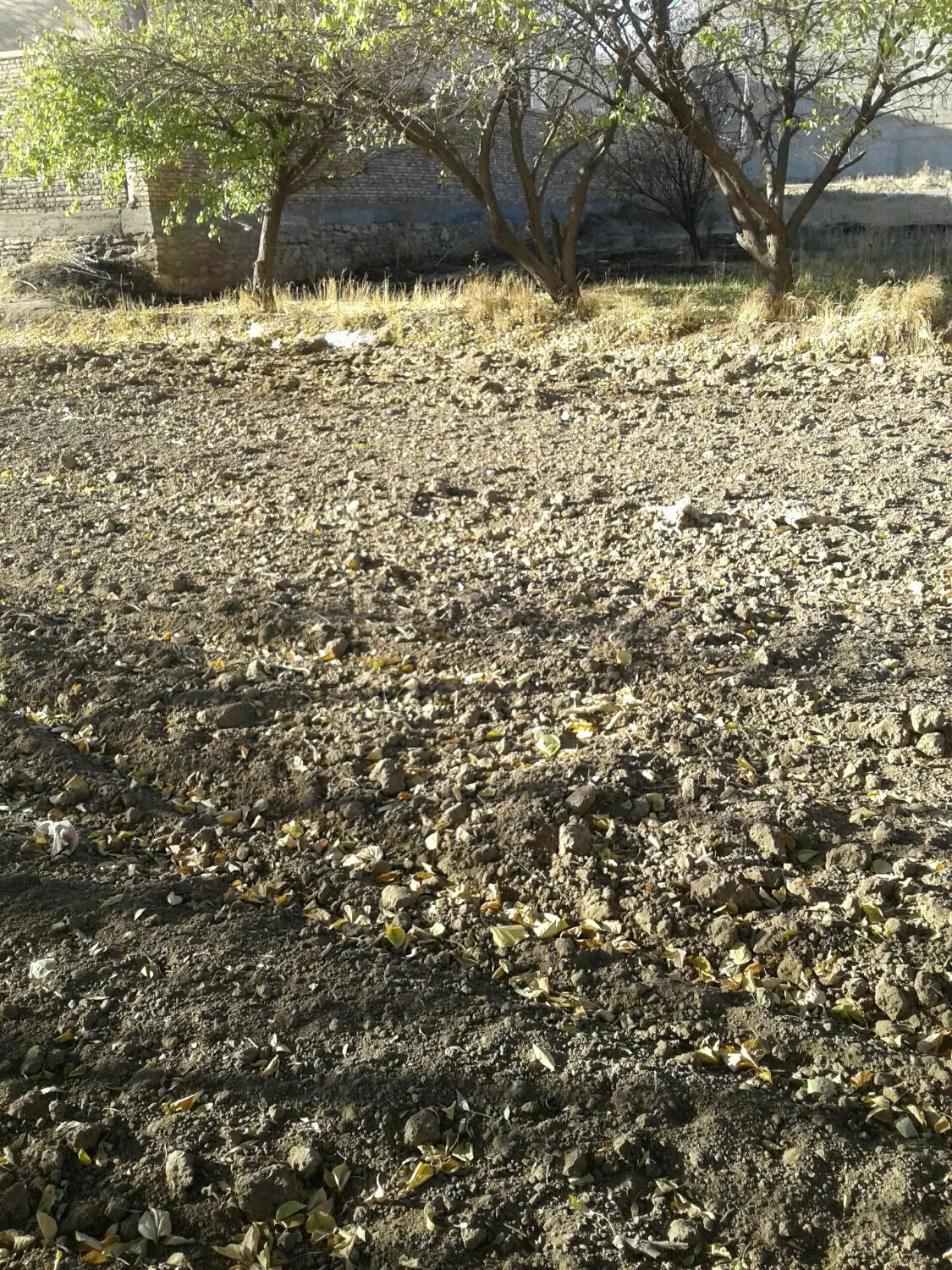 فروش زمین کشاورزی در  مریانج