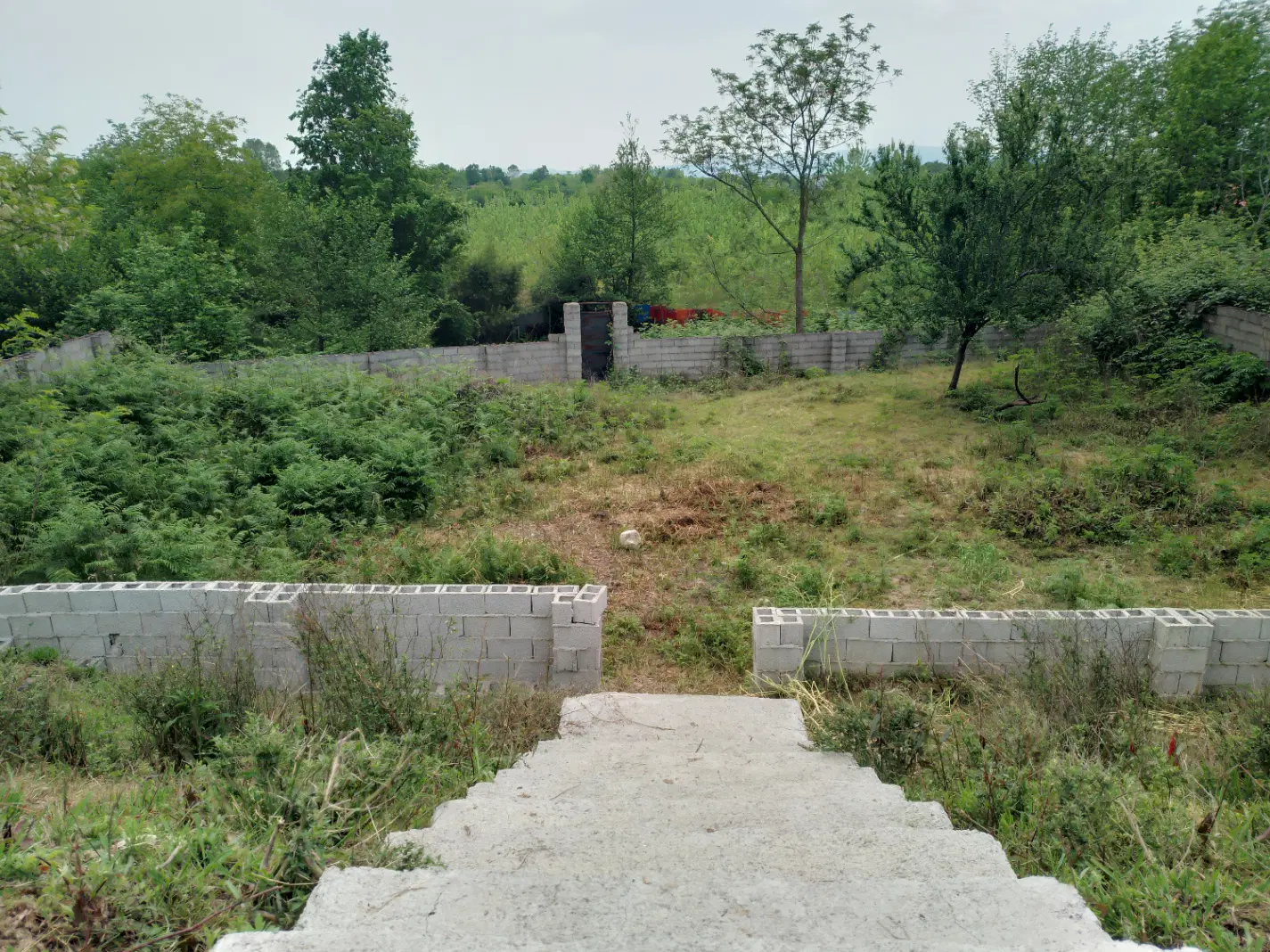 زمین 1230 متری مسکونی