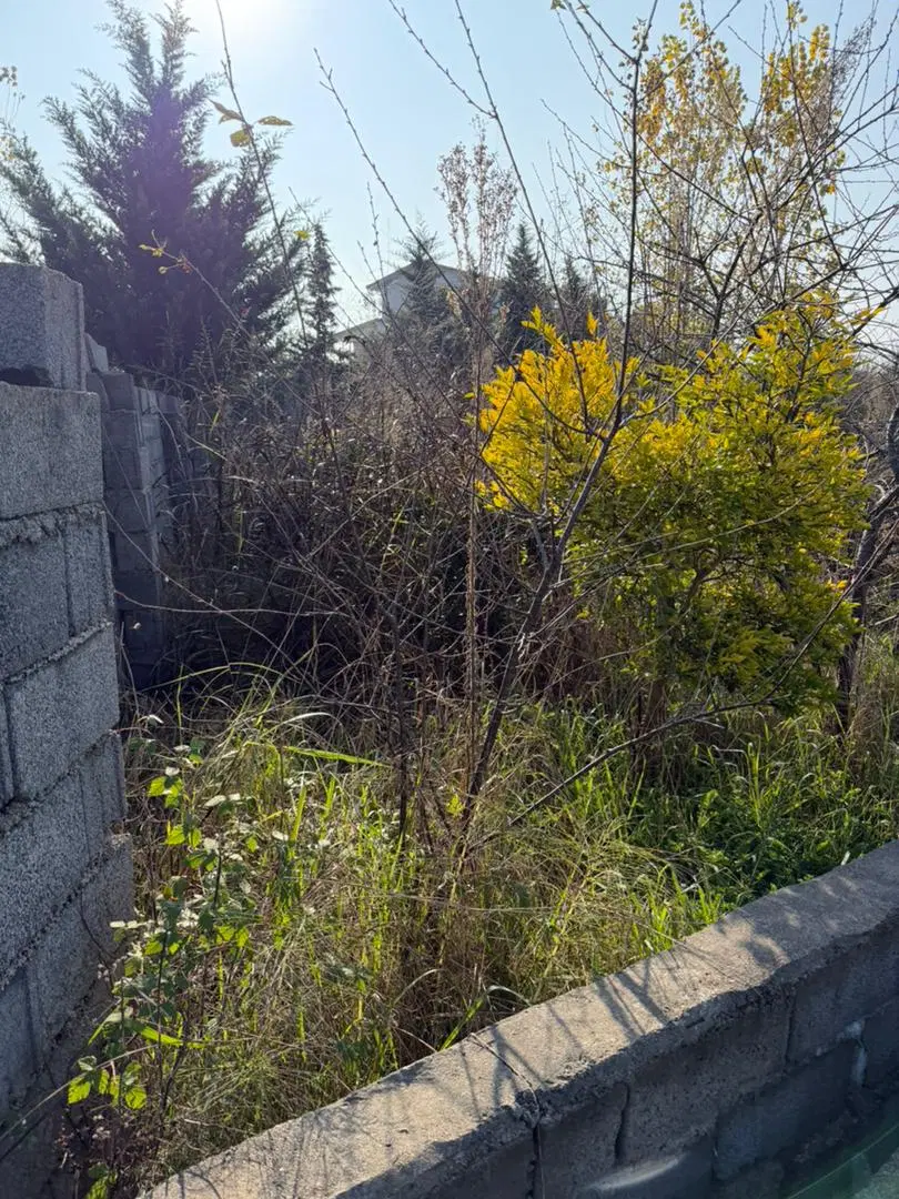 ۲۵۰ متر زمین واقع در روستای کلاک مرزن آباد