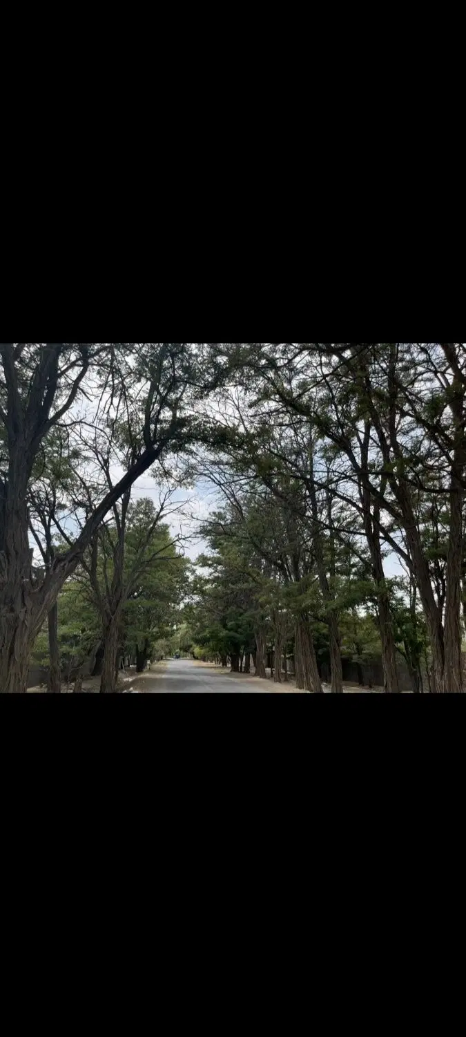 زمین درتهراندشت