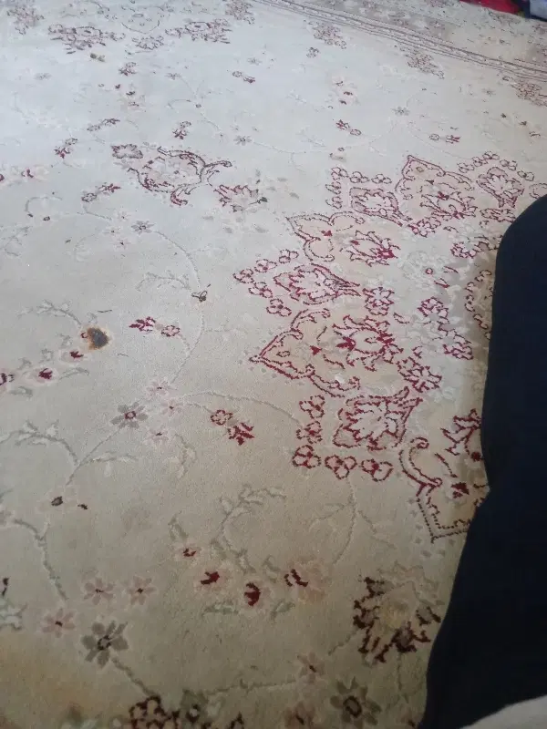 خونه
