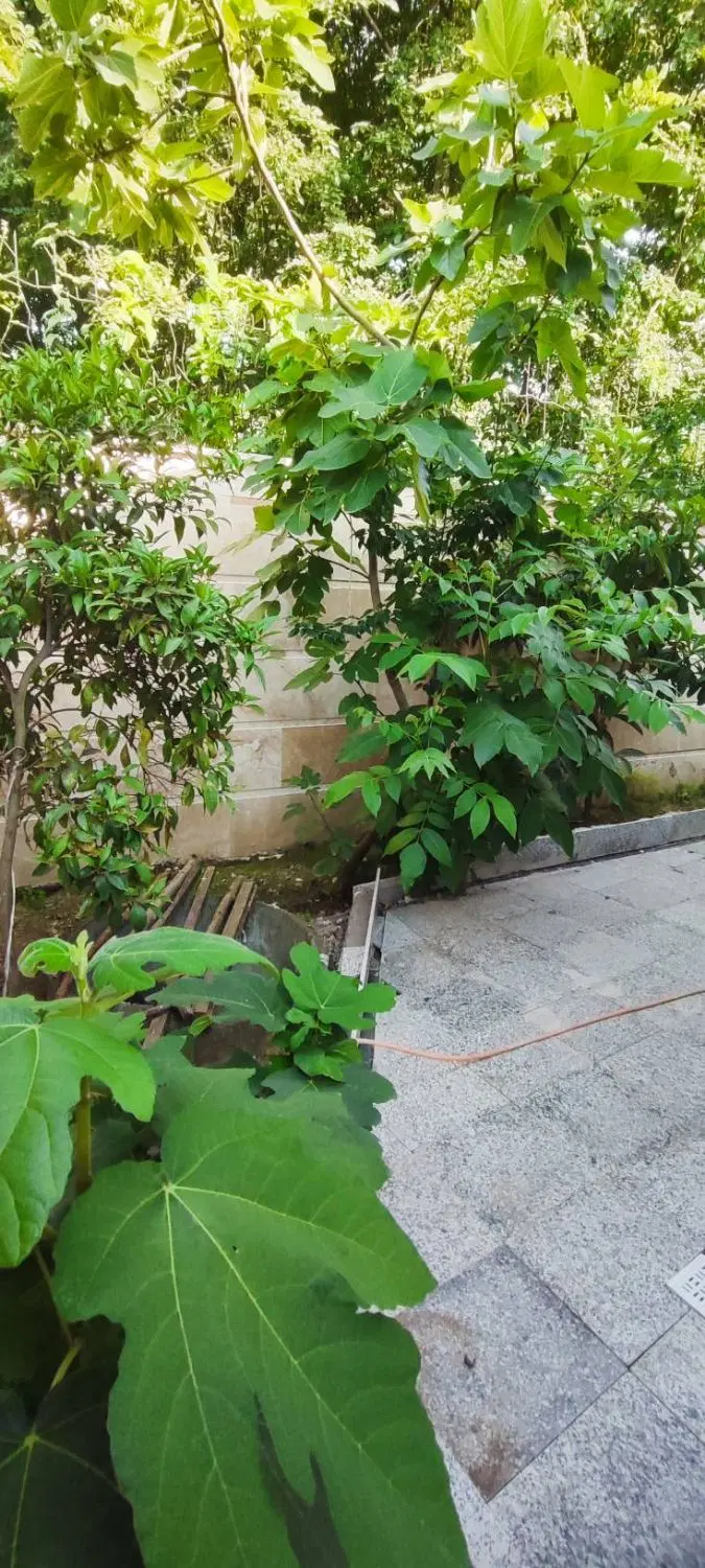 ویلای نوسازدرسالکویه