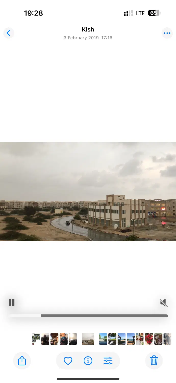 نوبنیاد یک نیلوفر ۲
