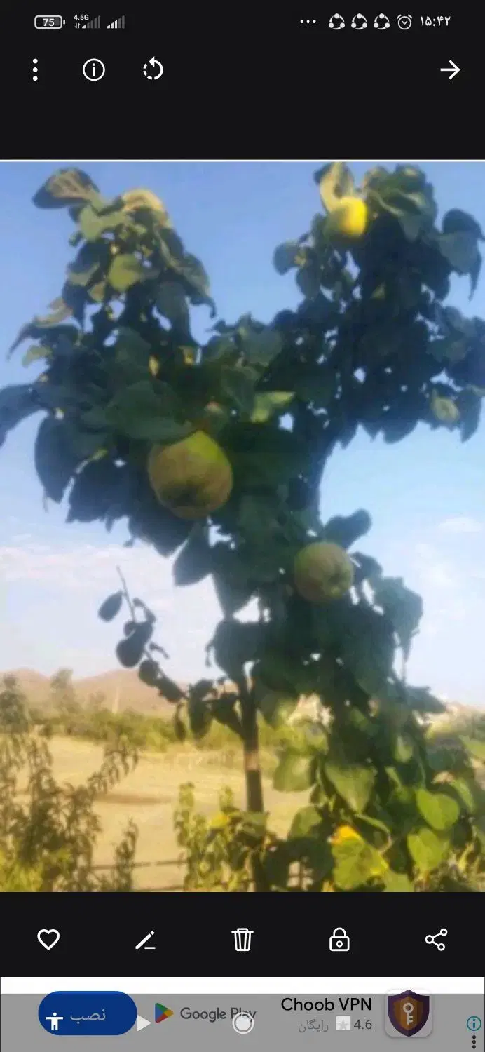 فروش خانه باغ