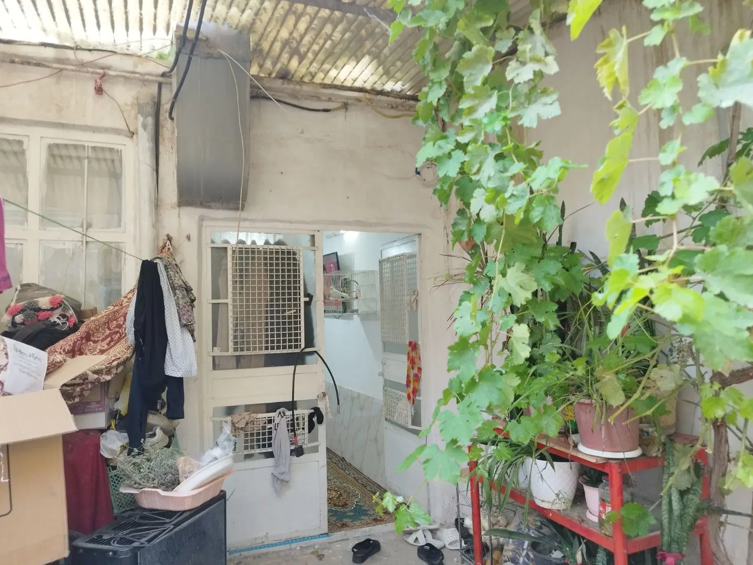 فروش خانه ویلایی شیک