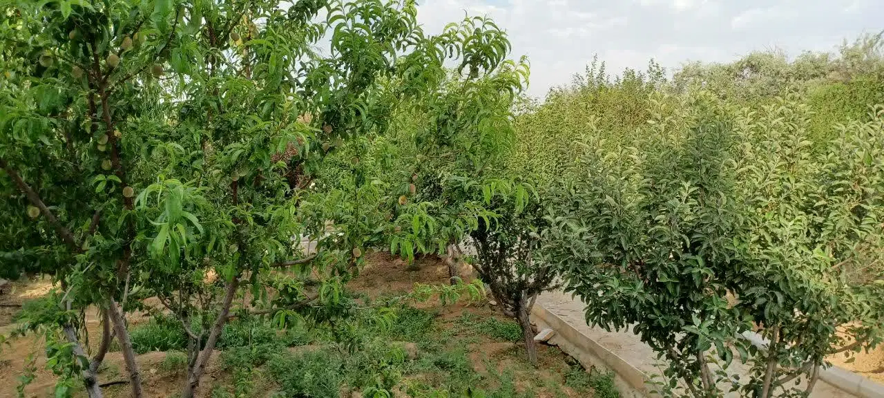 باغ دربهار