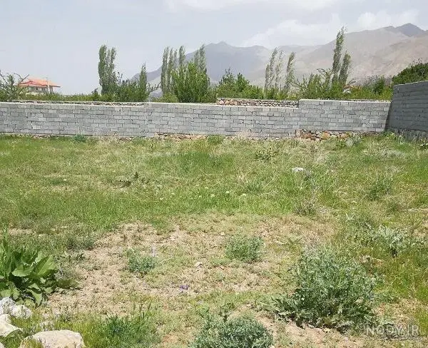 زمین تک‌برگ سند کمربندی خمام