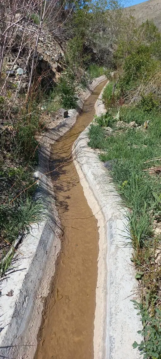 زمین باغی به مساحت ۲.۷۵۰متر