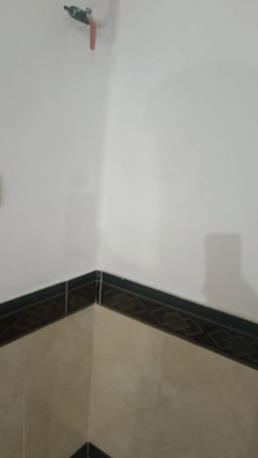 خانه اجاره ای فلک الدین