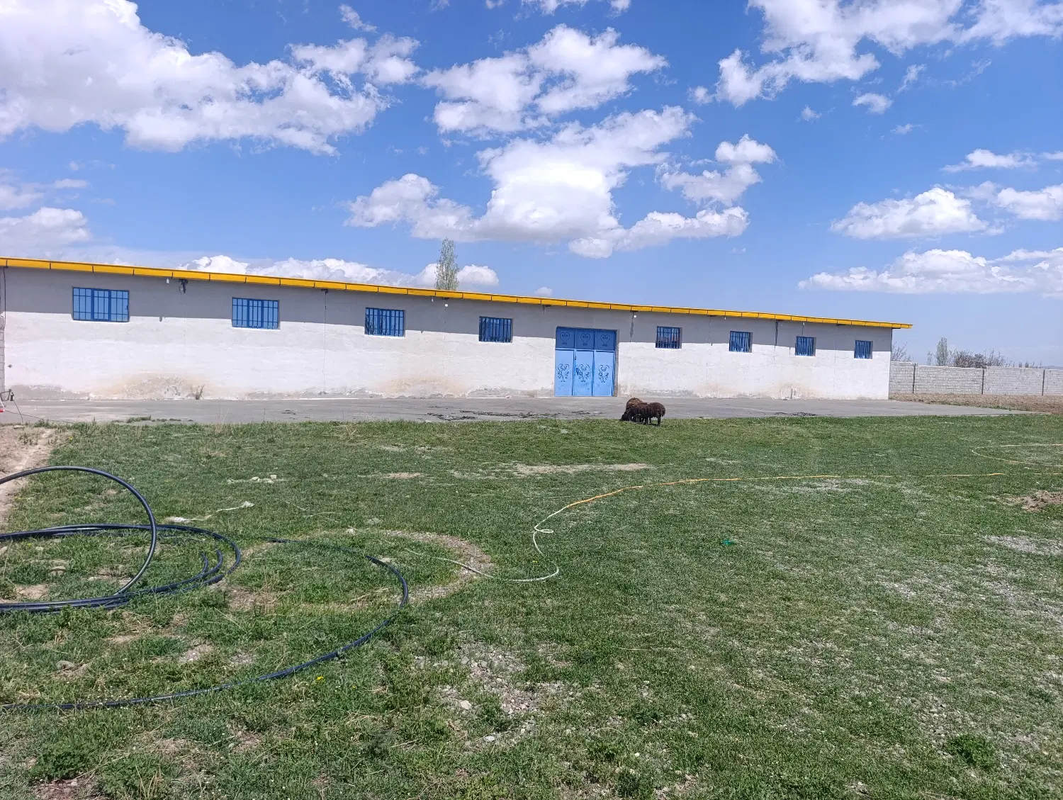 سالن 500متری سرپوشیده برای اجاره